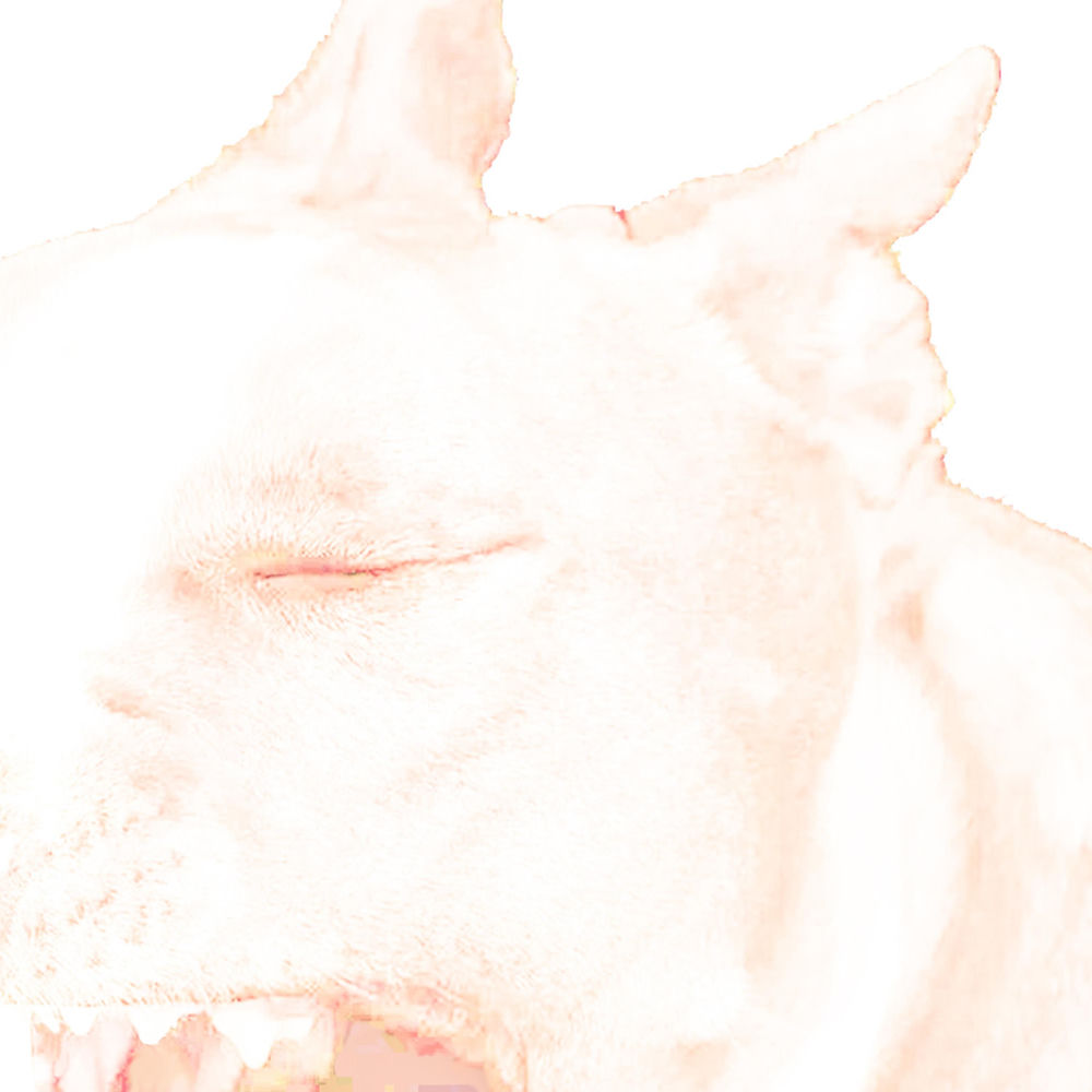 Return cover art
